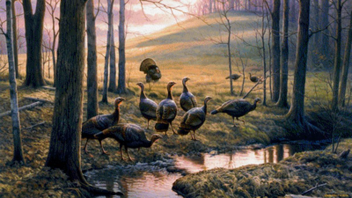 В лесу - птицы, лес, ручей - предпросмотр