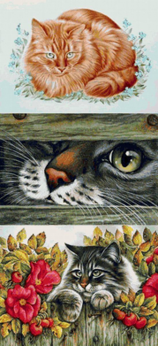 Котики - кот, животные, кошка - предпросмотр