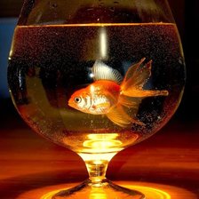 Схема вышивки «Золотая рыбка»