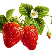 Схема вышивки «ЗЕМЛЯНИКА»