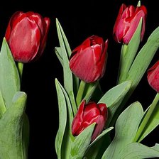 Схема вышивки «цветы»