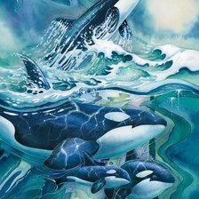 Три косатки