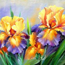 Схема вышивки «ирисы»