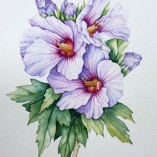 Схема вышивки «цветы»