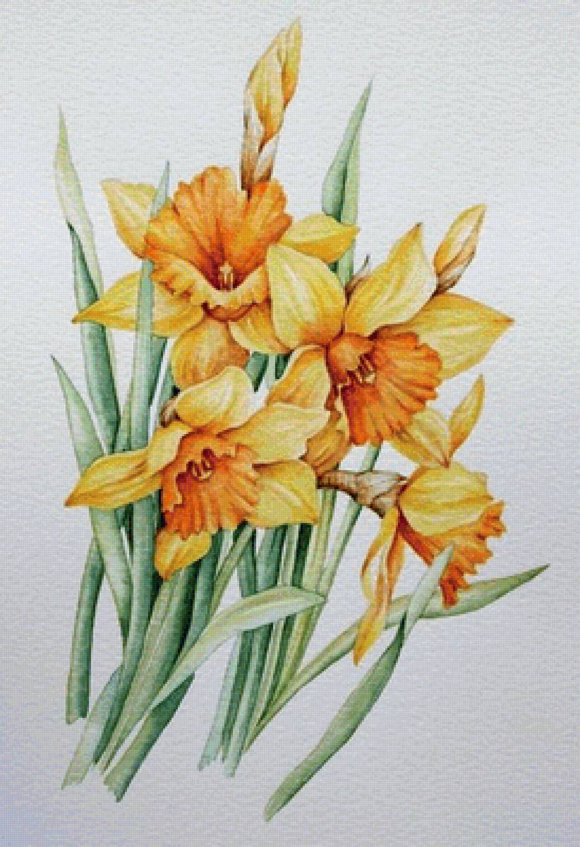 цветы - предпросмотр