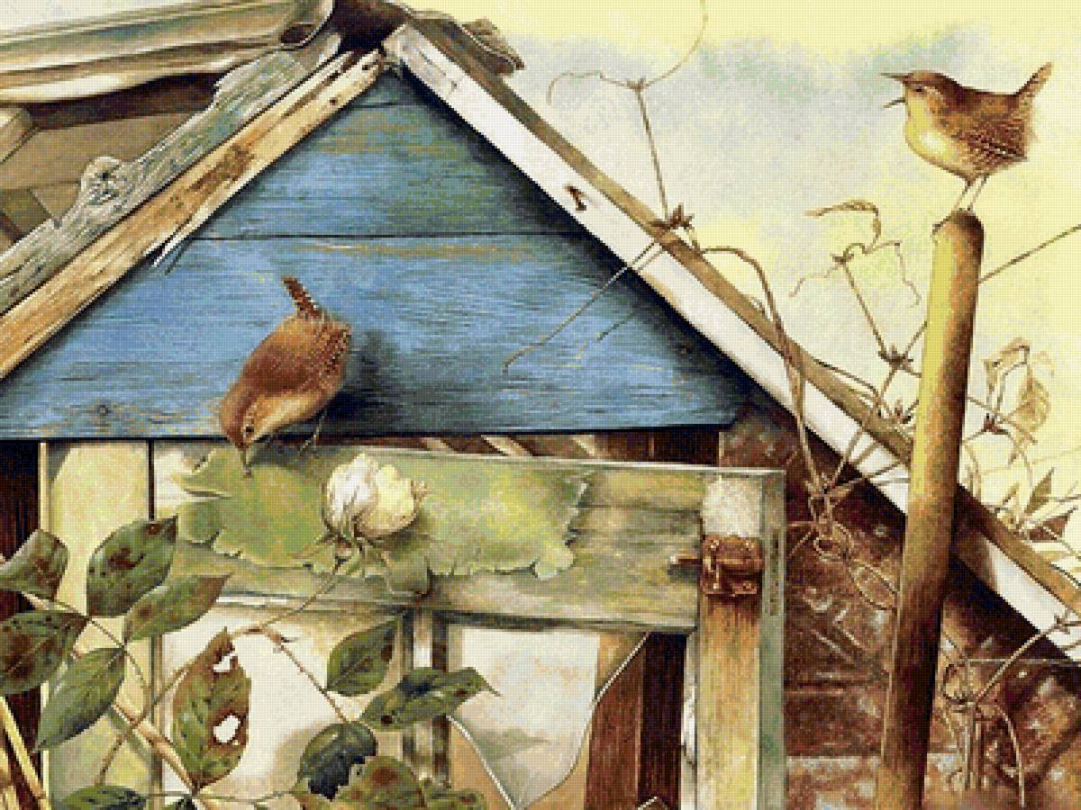 птицы - предпросмотр