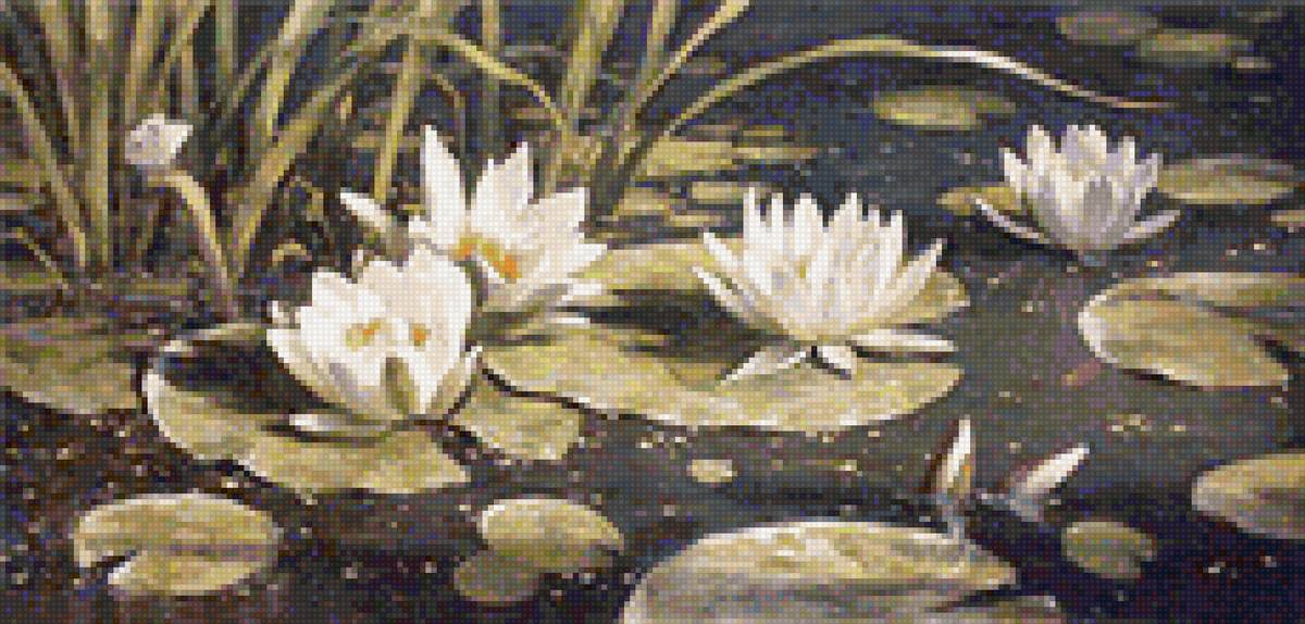 Кувшинки-1 - вода, пруд, кувшинки - предпросмотр