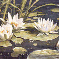 Схема вышивки «Кувшинки-1»