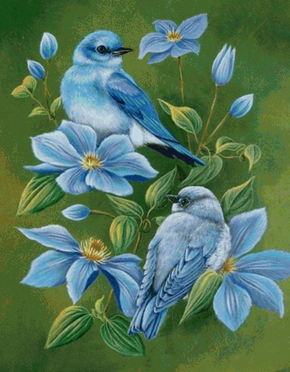 птицы - предпросмотр