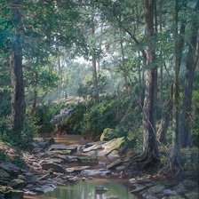 Лесной ручей