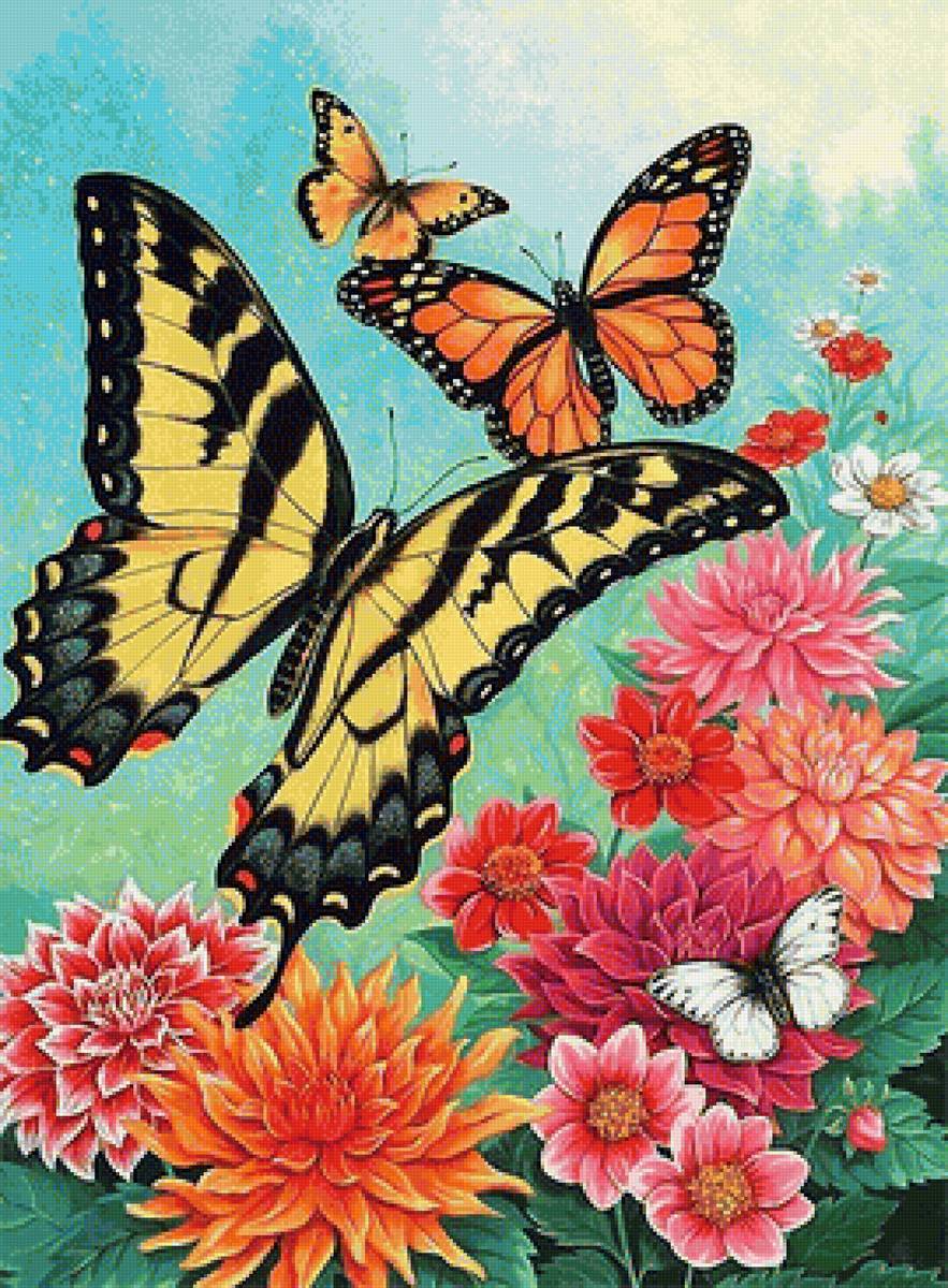 бабочки - мир животных - предпросмотр