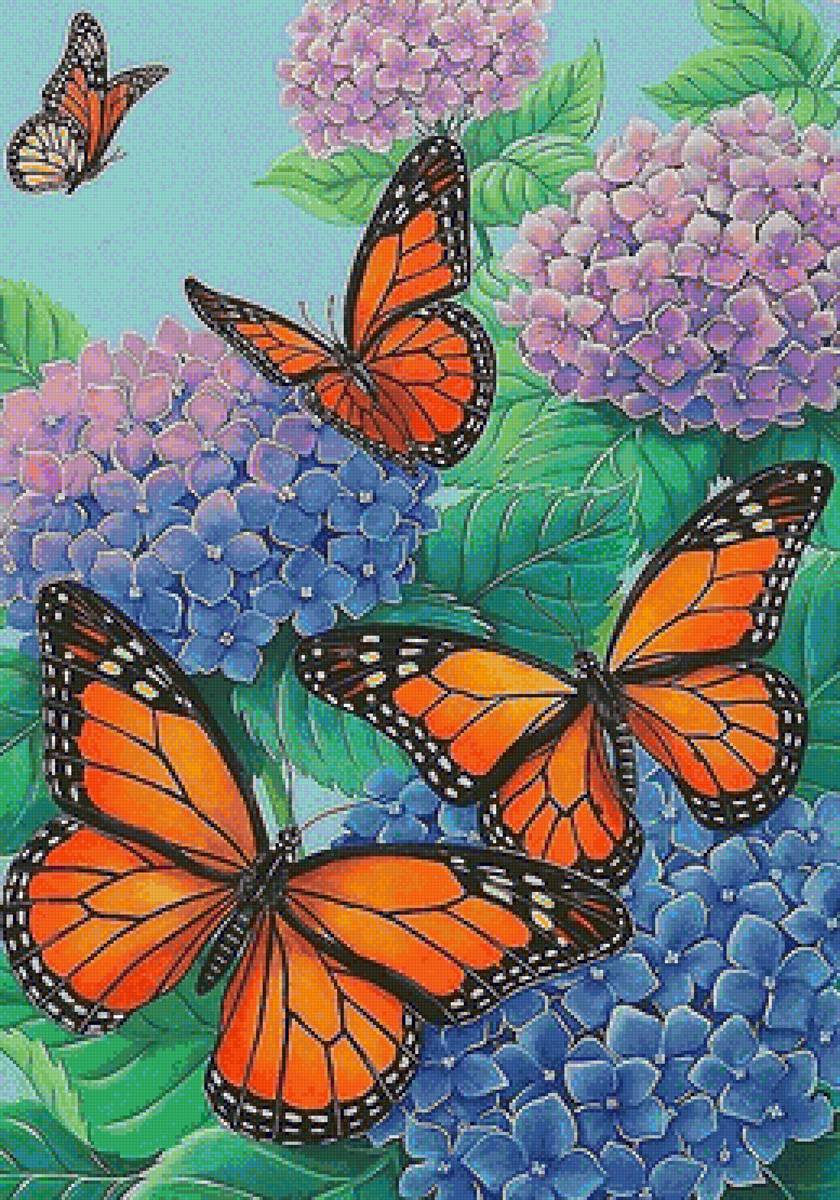 бабочки - мир животных - предпросмотр