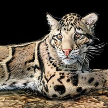 Схема вышивки «№1833587»