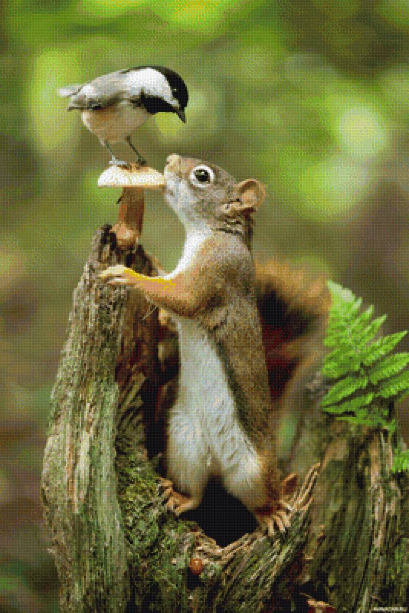 я  первый увидел! - предпросмотр