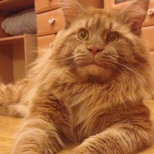 Схема вышивки «Любимчик»