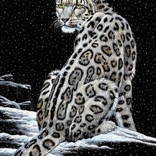 Схема вышивки «Гепард»