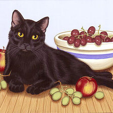 Схема вышивки «Котик»