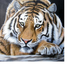 Схема вышивки «Тигр»