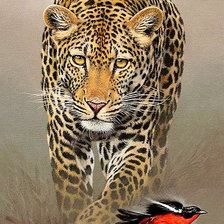 Схема вышивки «Леопард»