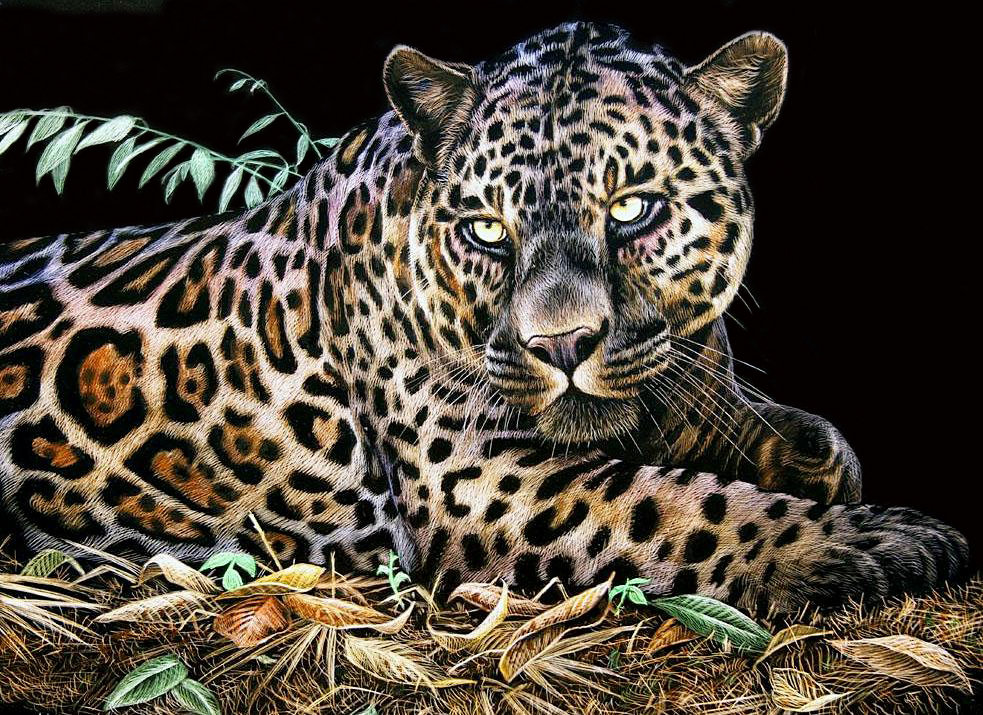 Дух джунглей - животные, хищники - оригинал