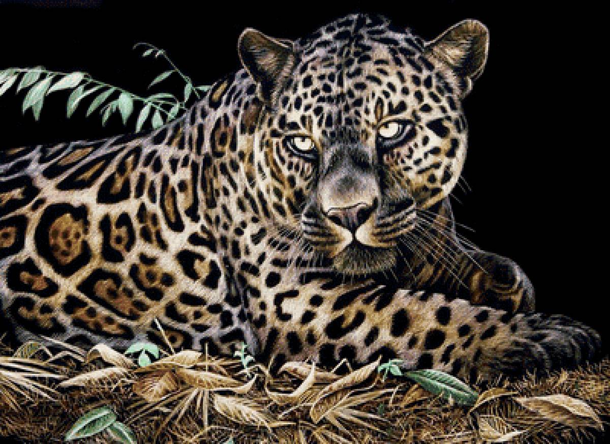 Дух джунглей - хищники, животные - предпросмотр