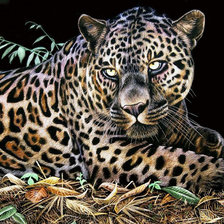 Схема вышивки «Дух джунглей»