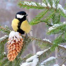 Схема вышивки «Синичка»
