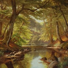 Ручей в лесу