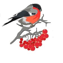 Схема вышивки «птица»