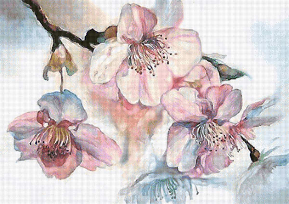 акварель - предпросмотр