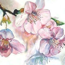 Схема вышивки «акварель»