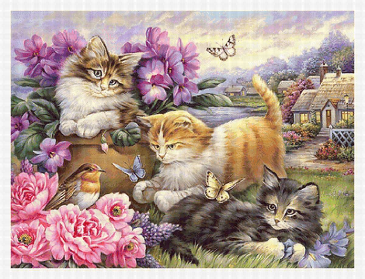 Серия "Коты". - коты, животные - предпросмотр