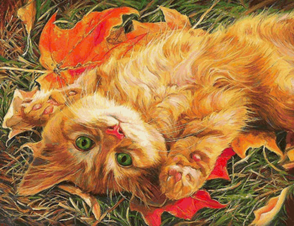 котёнок - мир животных - предпросмотр