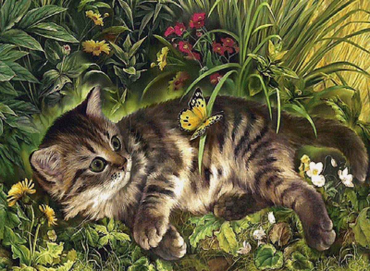 котёнок - мир животных - предпросмотр