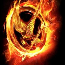 Схема вышивки «сойка»