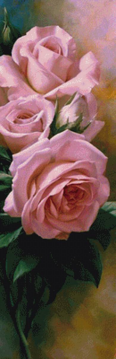 розы - предпросмотр