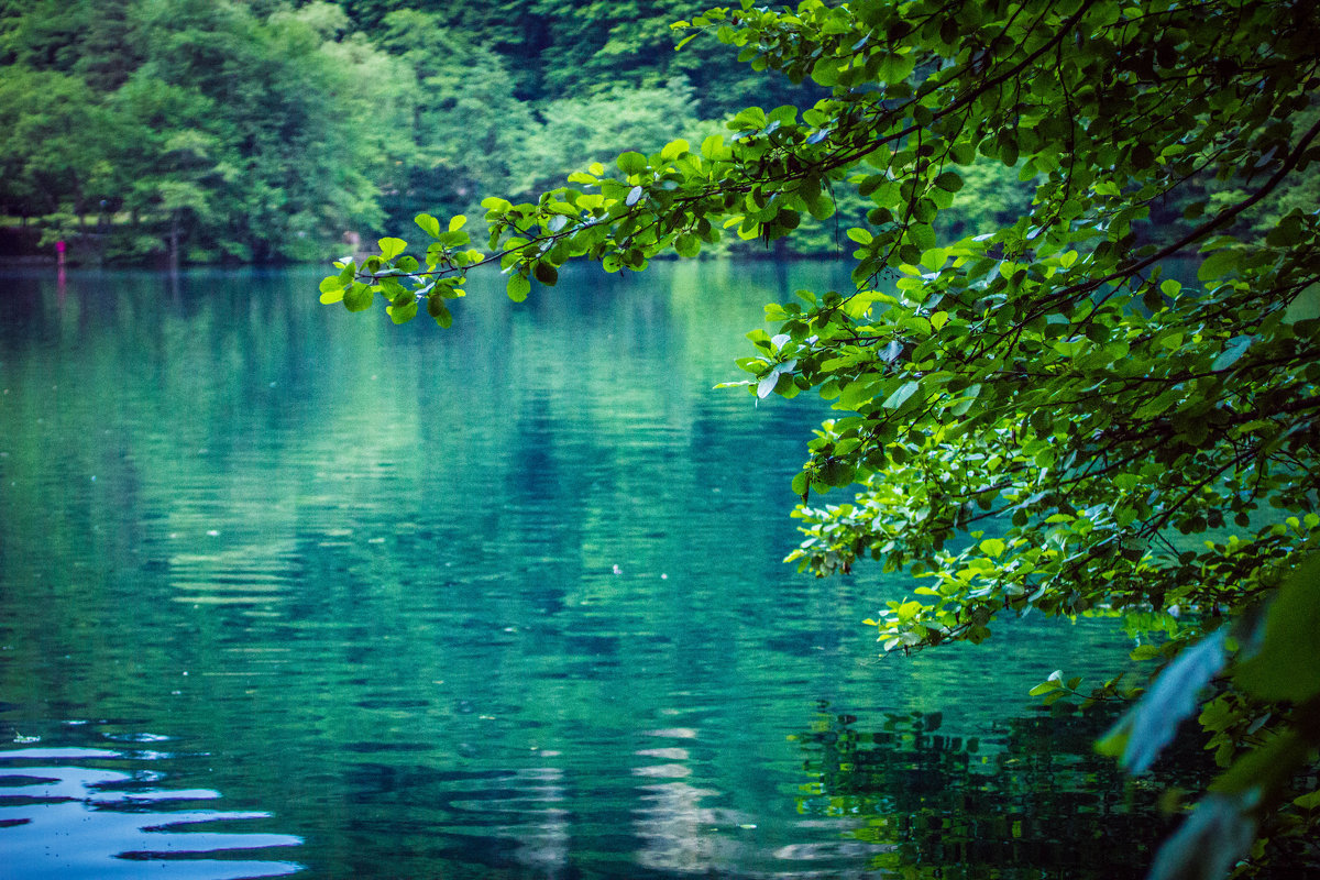 озеро - пейзаж, озеро - оригинал