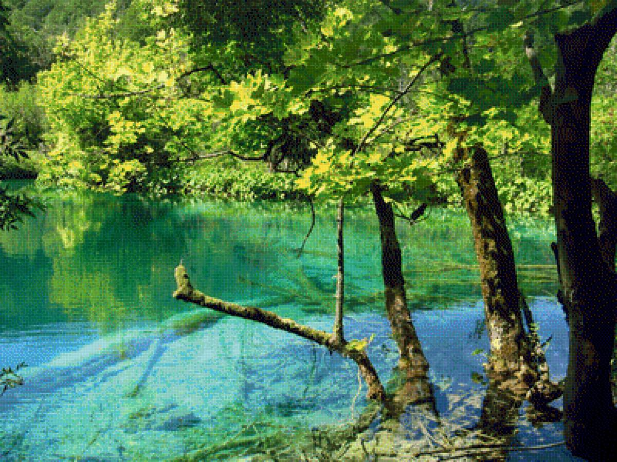 озеро в лесу - озеро. лес, природа, пейзаж - предпросмотр