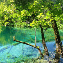 озеро в лесу