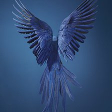 Схема вышивки «гіацинтовий ара»