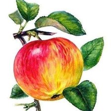 Схема вышивки «Яблоко»