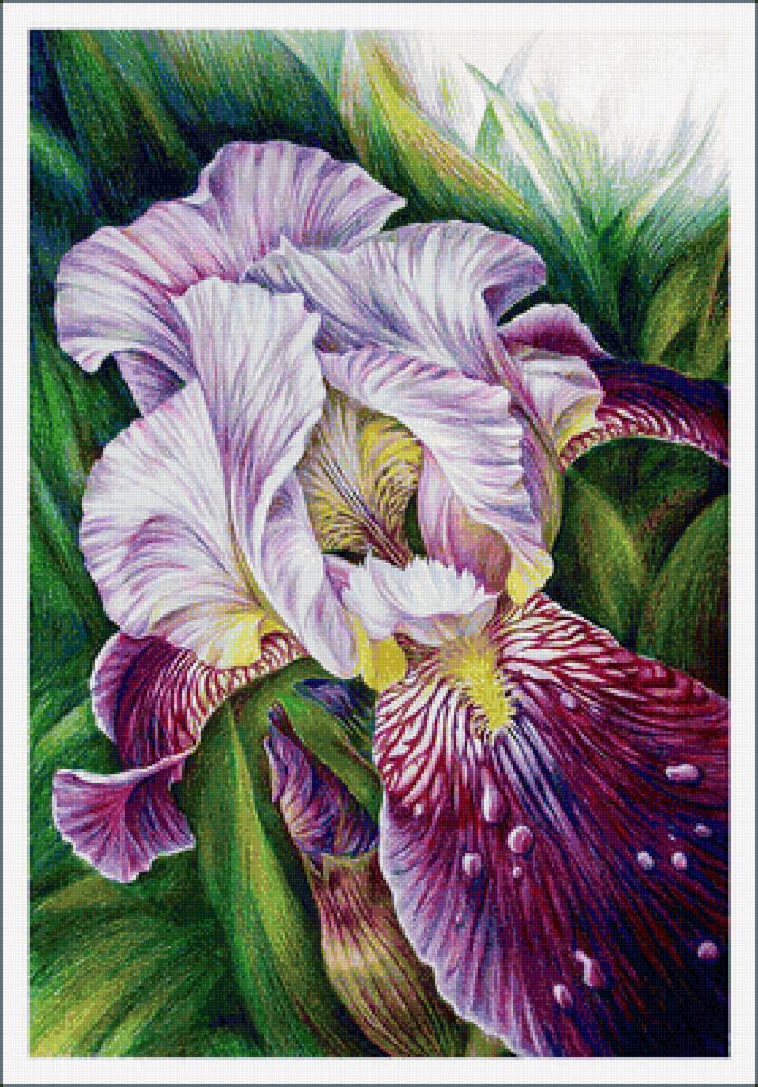 цветы - предпросмотр