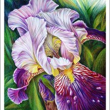 Схема вышивки «цветы»