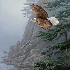 Схема вышивки «орел»