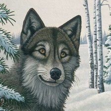 Схема вышивки «дикие»