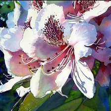 Схема вышивки «Цветы»