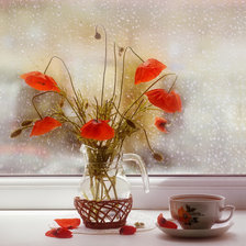 Дождь за окном