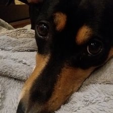 Схема вышивки «Клава»