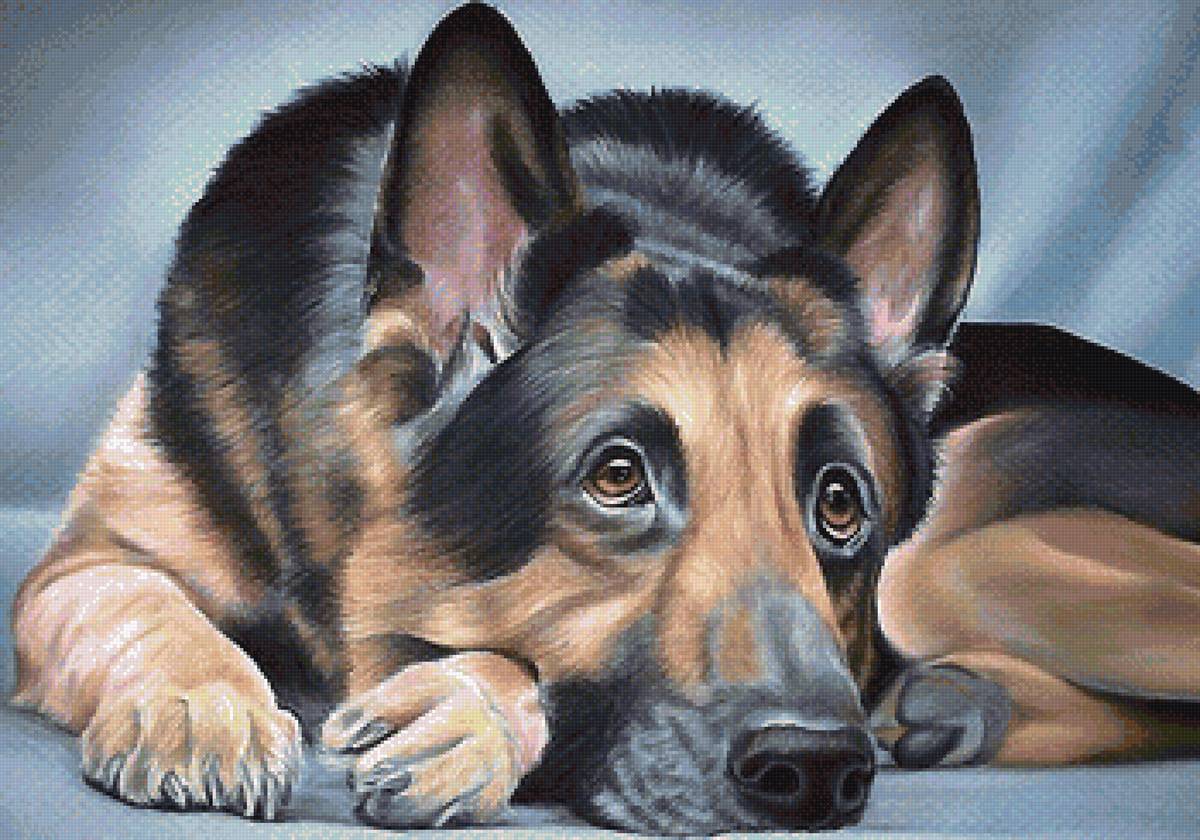 рисунок - предпросмотр