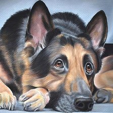 Схема вышивки «рисунок»